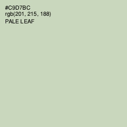 #C9D7BC - Pale Leaf Color Image